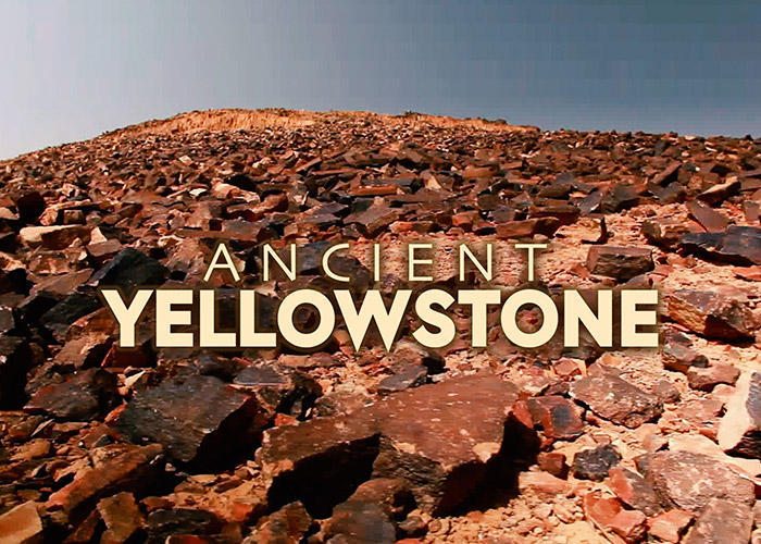 The Petrified Forest