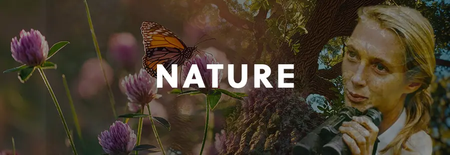 Nature title card