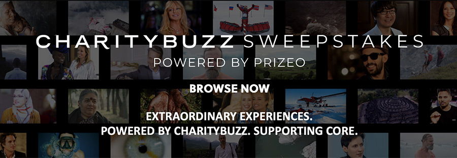 CharityBuzz Banner
