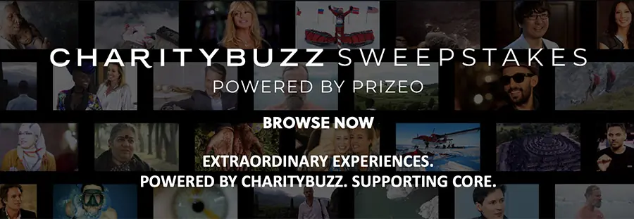 CharityBuzz Banner