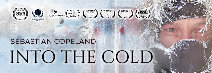 Banner for Into The Cold