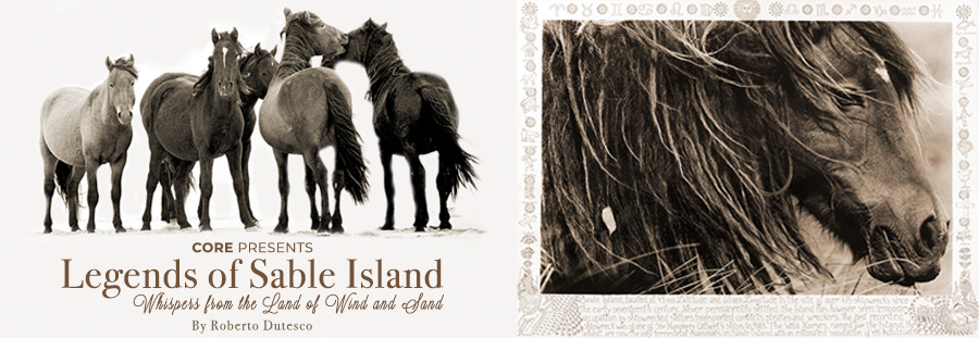 Banner for Legends of Sable Island