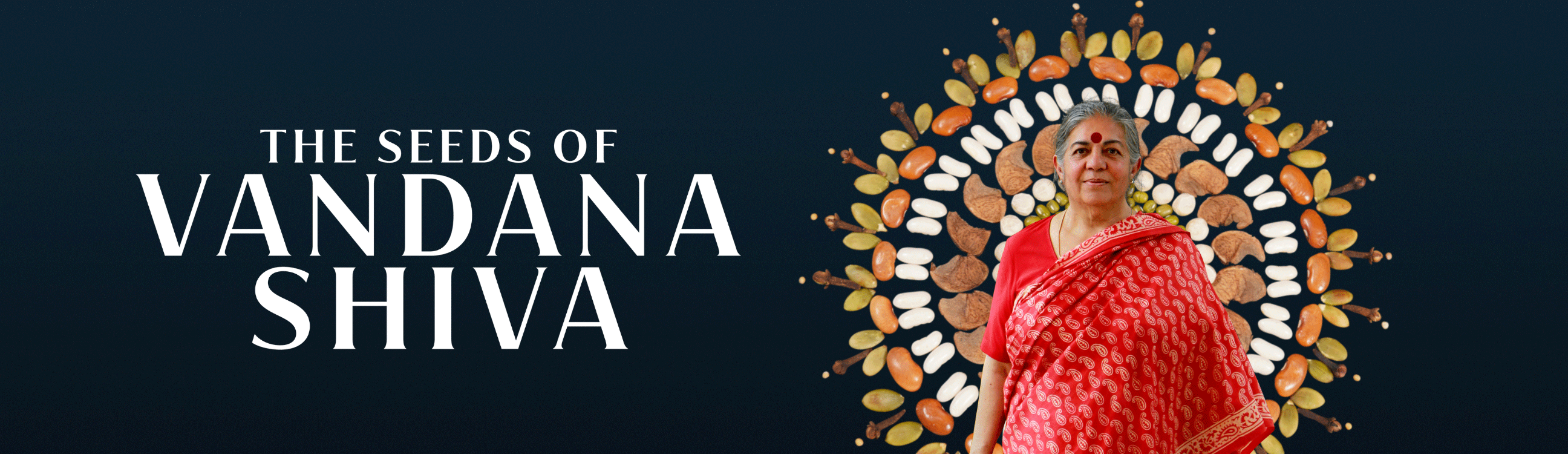 Image for The Seeds of Vandana Shiva