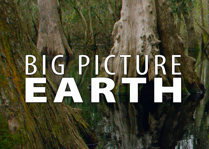 Okefenokee Blackwater Swamp