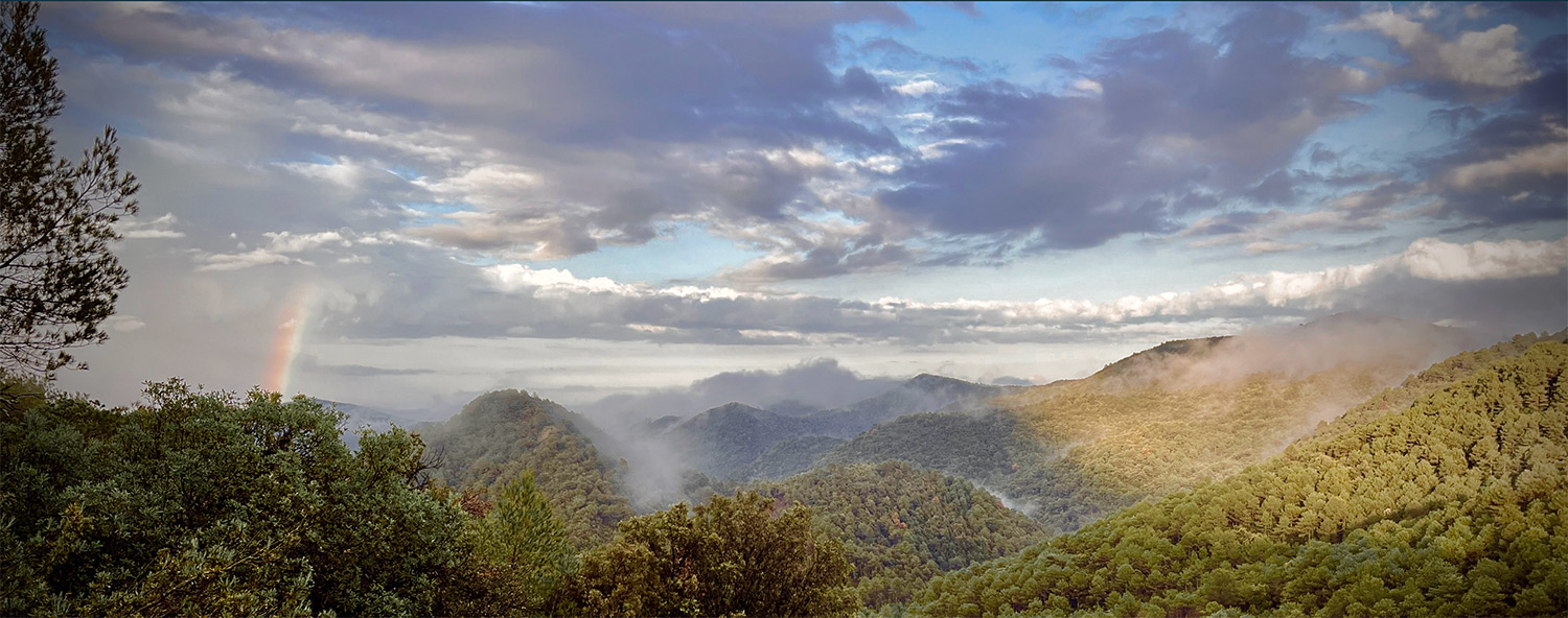 Header image for MUGA: What If an Entire Valley Could Teach the World How to Regenerate