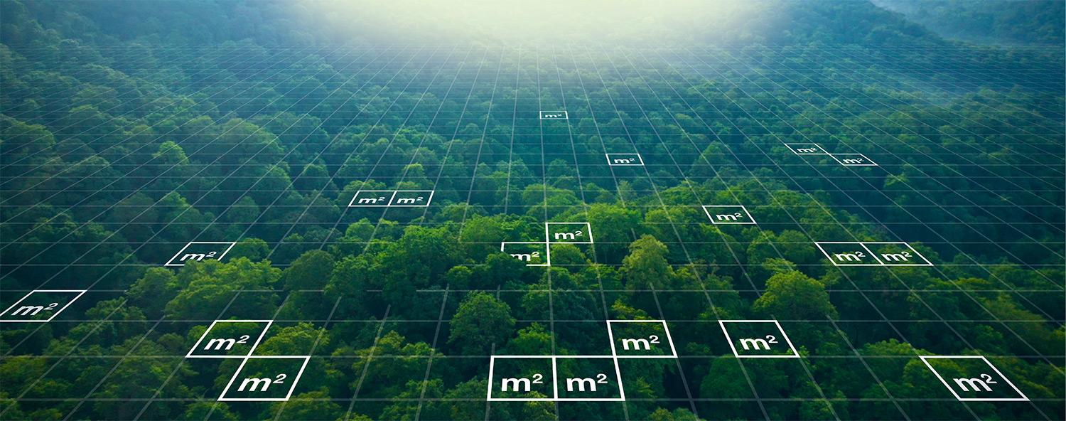 Header image for What if protecting nature was as simple as choosing where your next square meter begins?