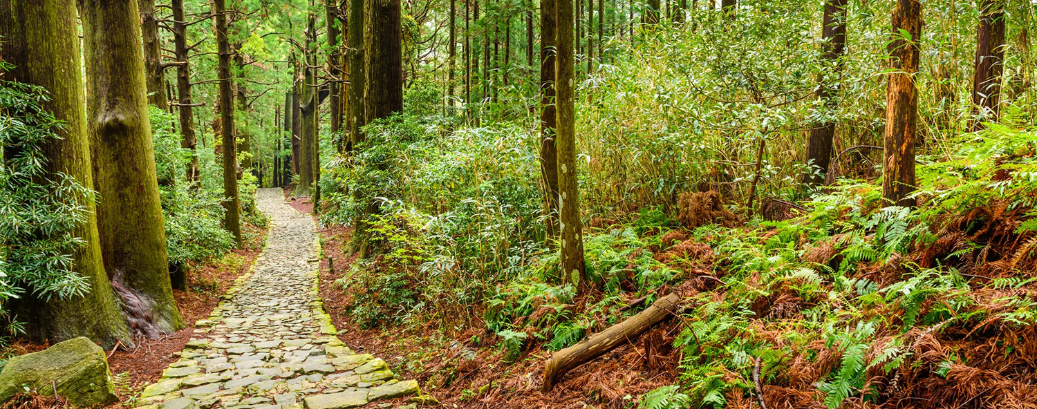 Header image for Sacred Spaces