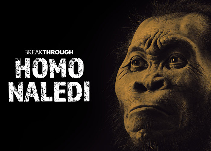 Homo Naledi