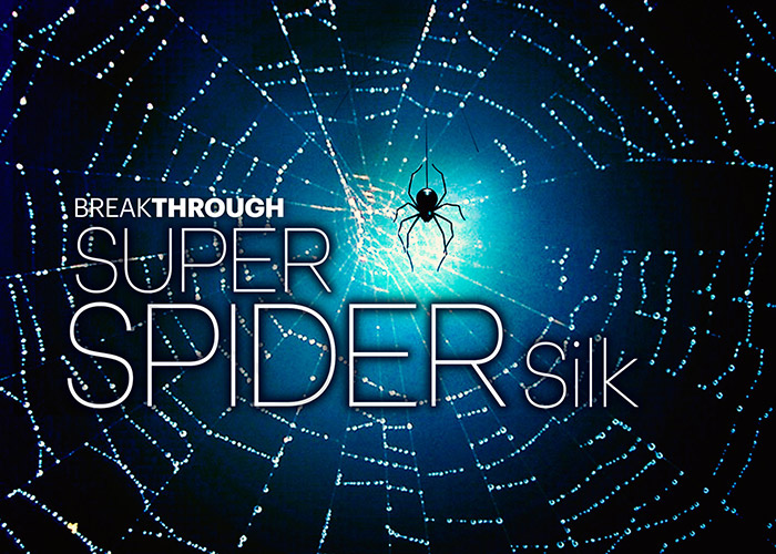 Super Spider Silk