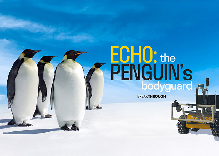 ECHO: The Penguin’s Bodyguard