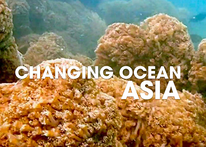 Urban Oceans. Super Corals.