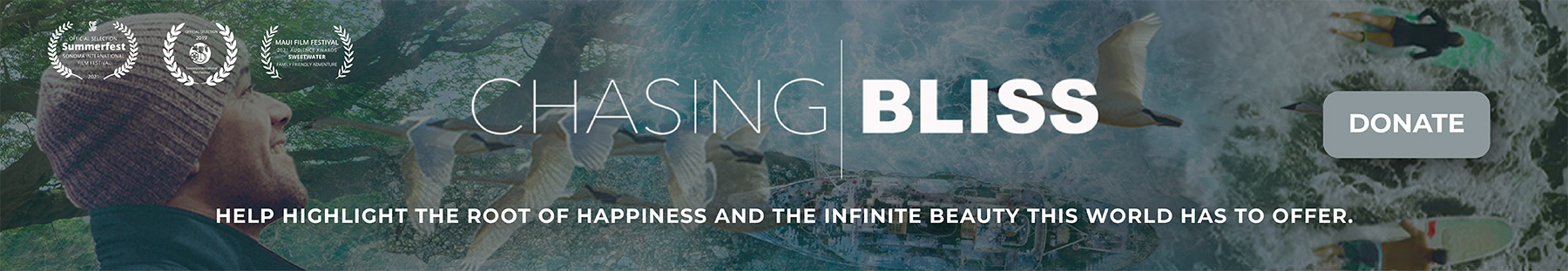 Banner for Donation to Chasing Bliss
