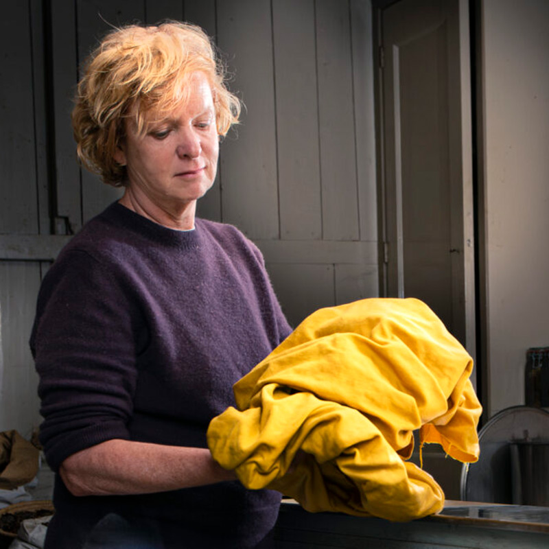 Header image for Claudy Jongstra: “Natural dyes are the gold of the future”