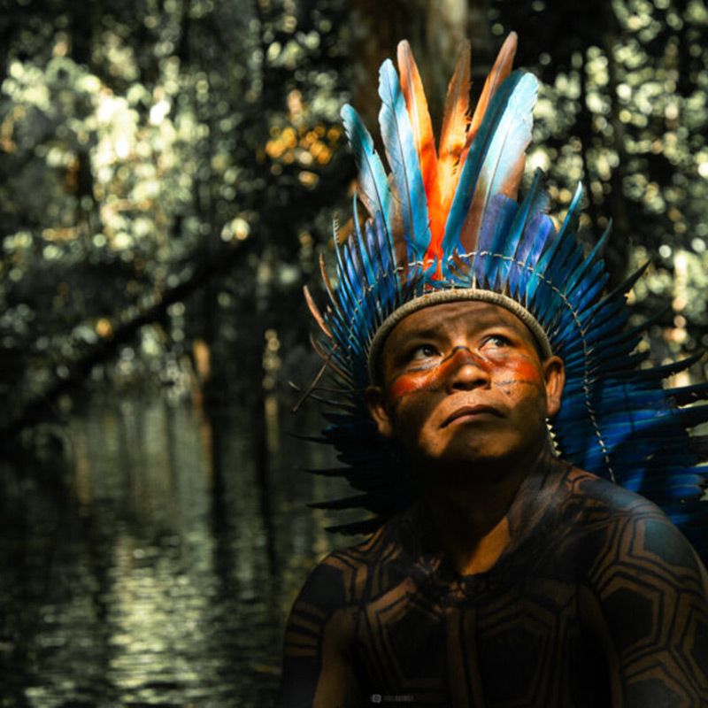 Header image for “Now the law is my bow, justice is my arrow and GPS cameras help us gain access to the legal system”