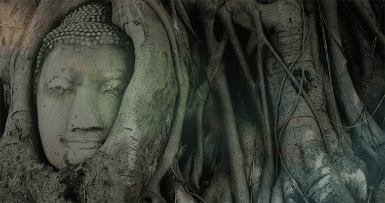 Journey of Impact: Every Story - Every Step