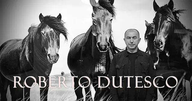 Roberto Dutesco – Artist, Filmmaker & Wild Horses of Sable Island Conservationist