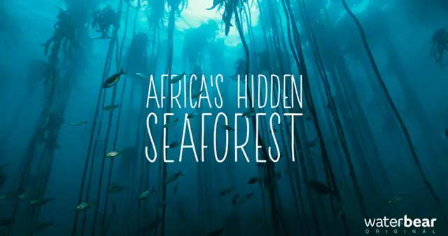 Africa's Hidden Seaforest