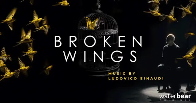 Broken Wings