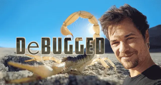 DeBugged