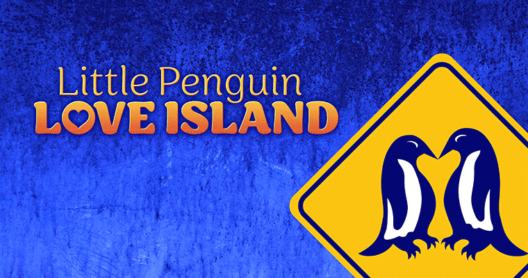 Little Penguin Love Island
