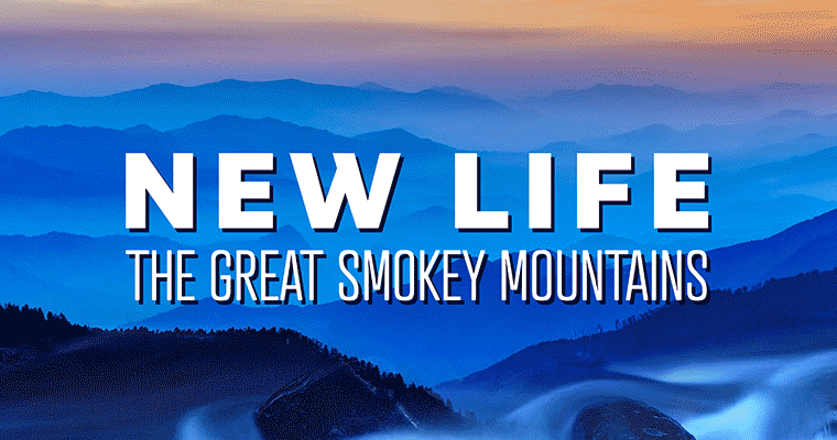 New Life: The Great Smoky Mountains