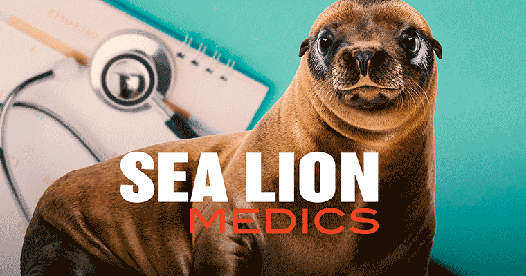 Sea Lion Medics