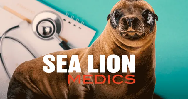 Sea Lion Medics