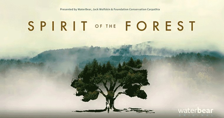 Spirit of the Forest