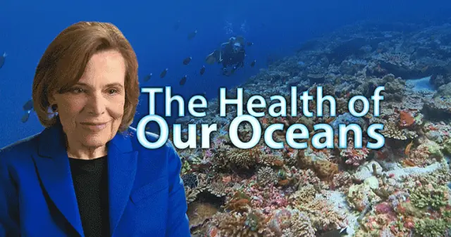 The Health of Our Oceans