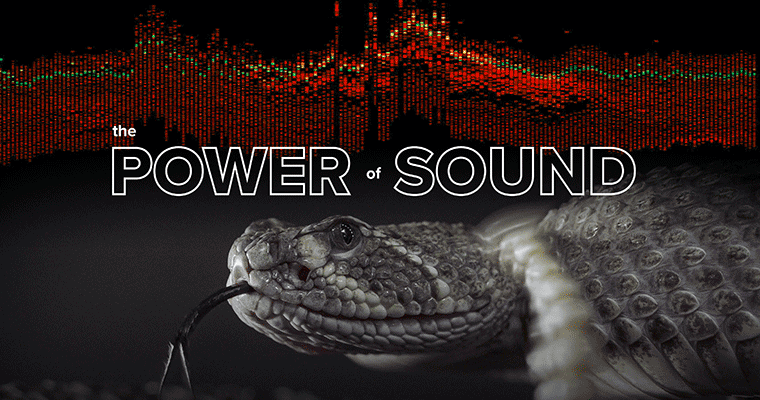 The Power of Sound