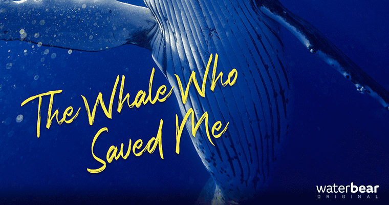 The Whale Who Saved Me