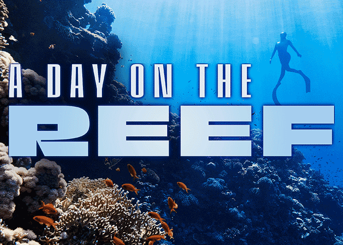 Title card for Sipadan