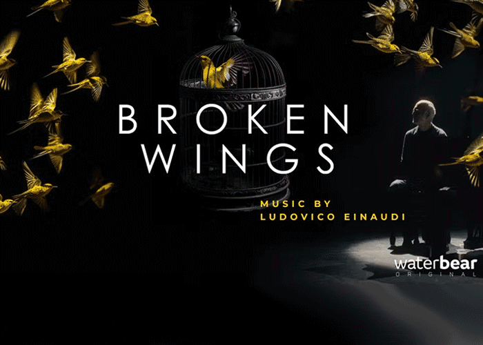 Broken Wings