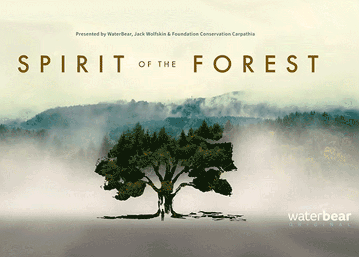 Title card for Spirit of the Forest
