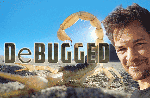 DeBugged