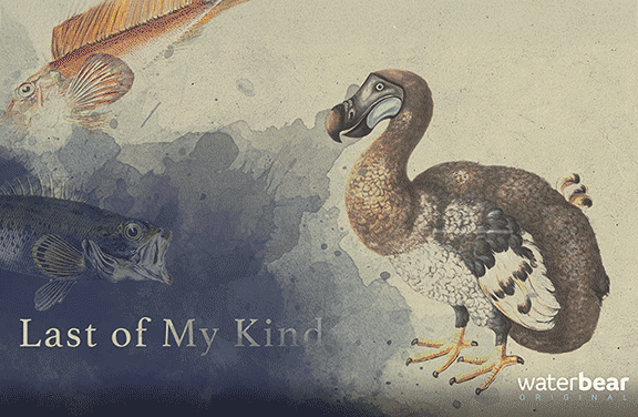 Image for Last of My Kind