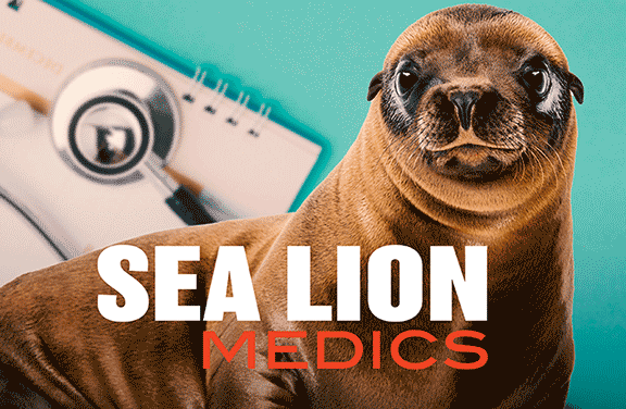 Sea Lion Medics
