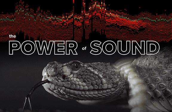 The Power of Sound