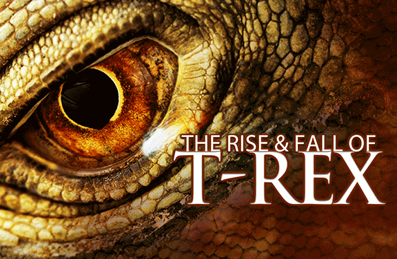Image for The Rise and Fall of T-Rex