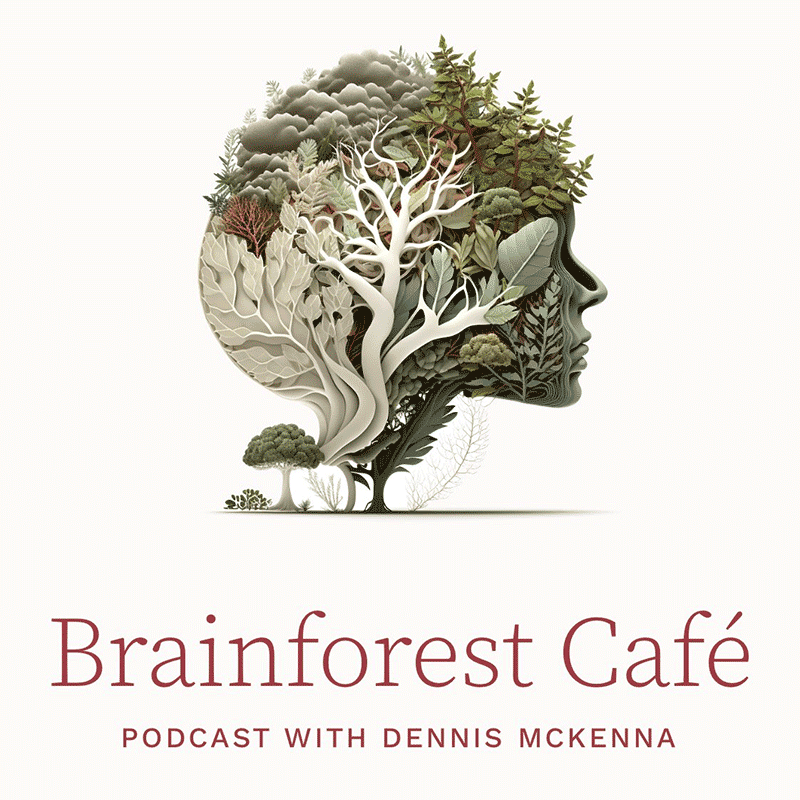 Brainforest Cafe