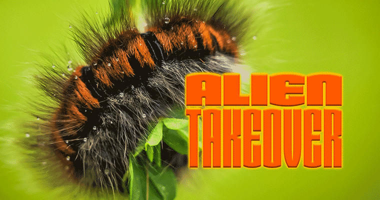 Alien Takeover