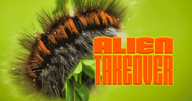Alien Takeover