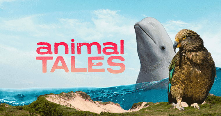 Animal Tales