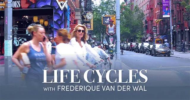 Life Cycles