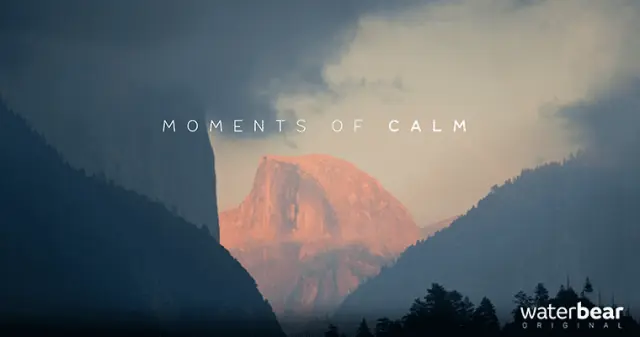 Moments of Calm