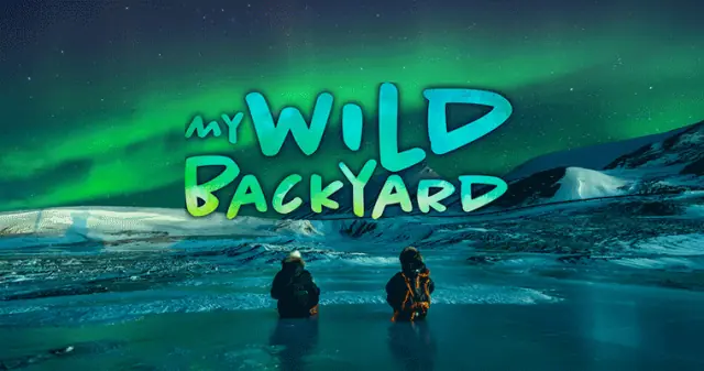 My Wild Backyard