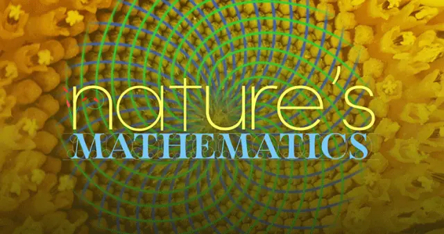Nature's Mathematics
