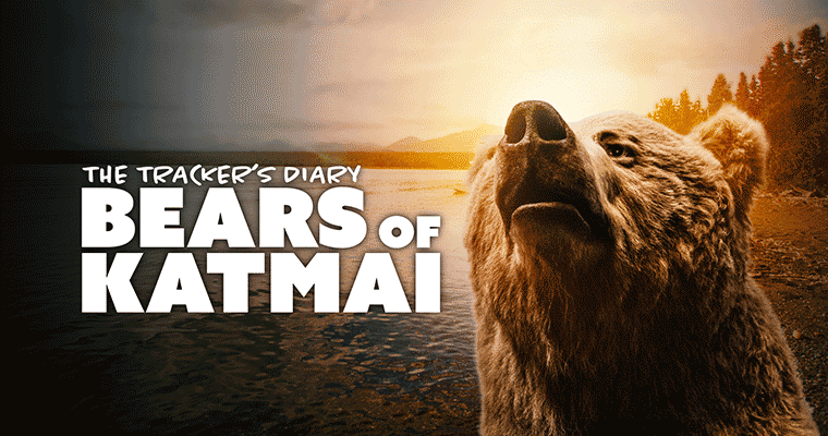 The Tracker's Diary: Bears of Katmai