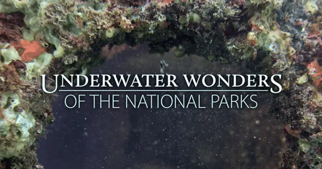 Underwater Wonders of the National Parks