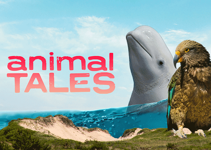 Animal Tales